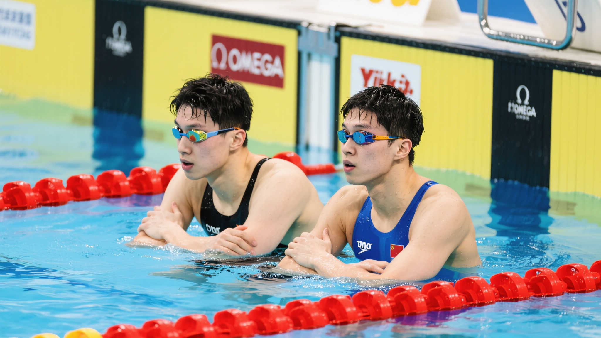 成了适合自 成了适合自